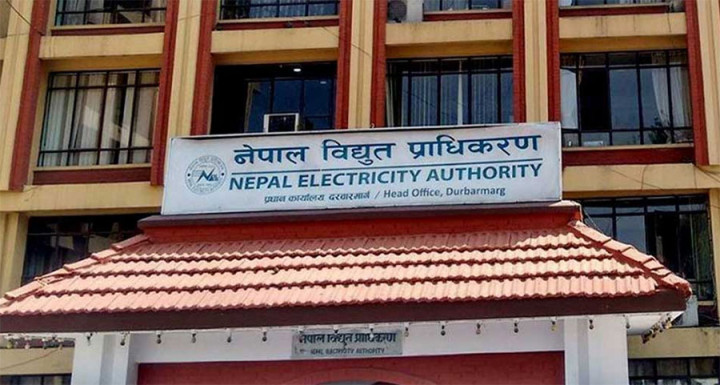 प्राधिकरणले जारी गर्यो ७५ पेजको श्वेतपत्र