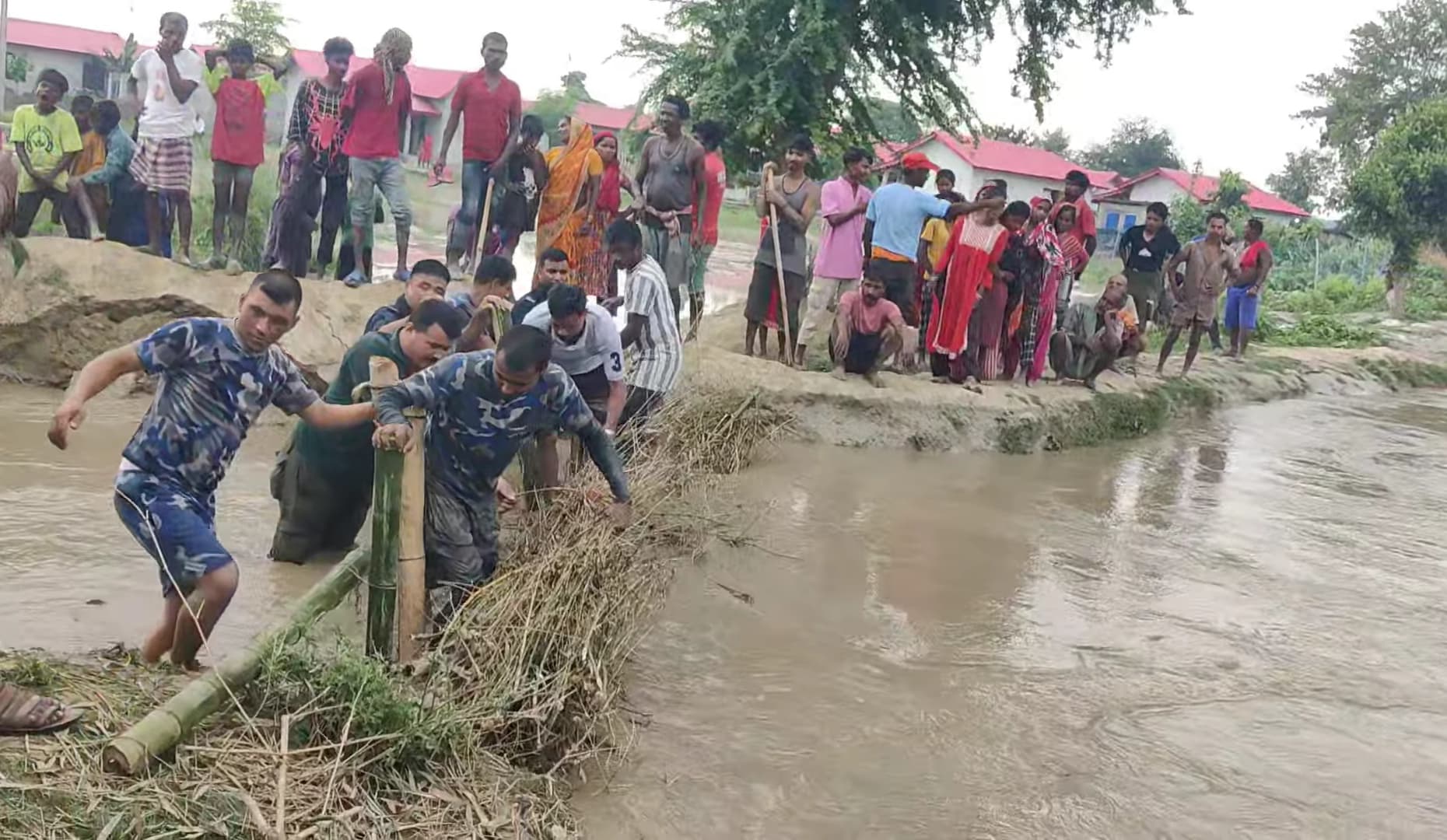 केसलिया खाेलाकाे बाढी विराटनगरकाे बस्तीमा पस्याे, १२० घर डुबानकाे जाेखिममा