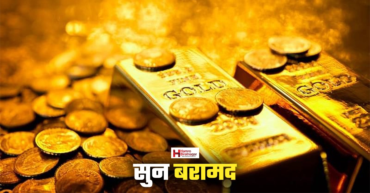 रसुवामा ठूलो परिमाणमा सुन बरामद