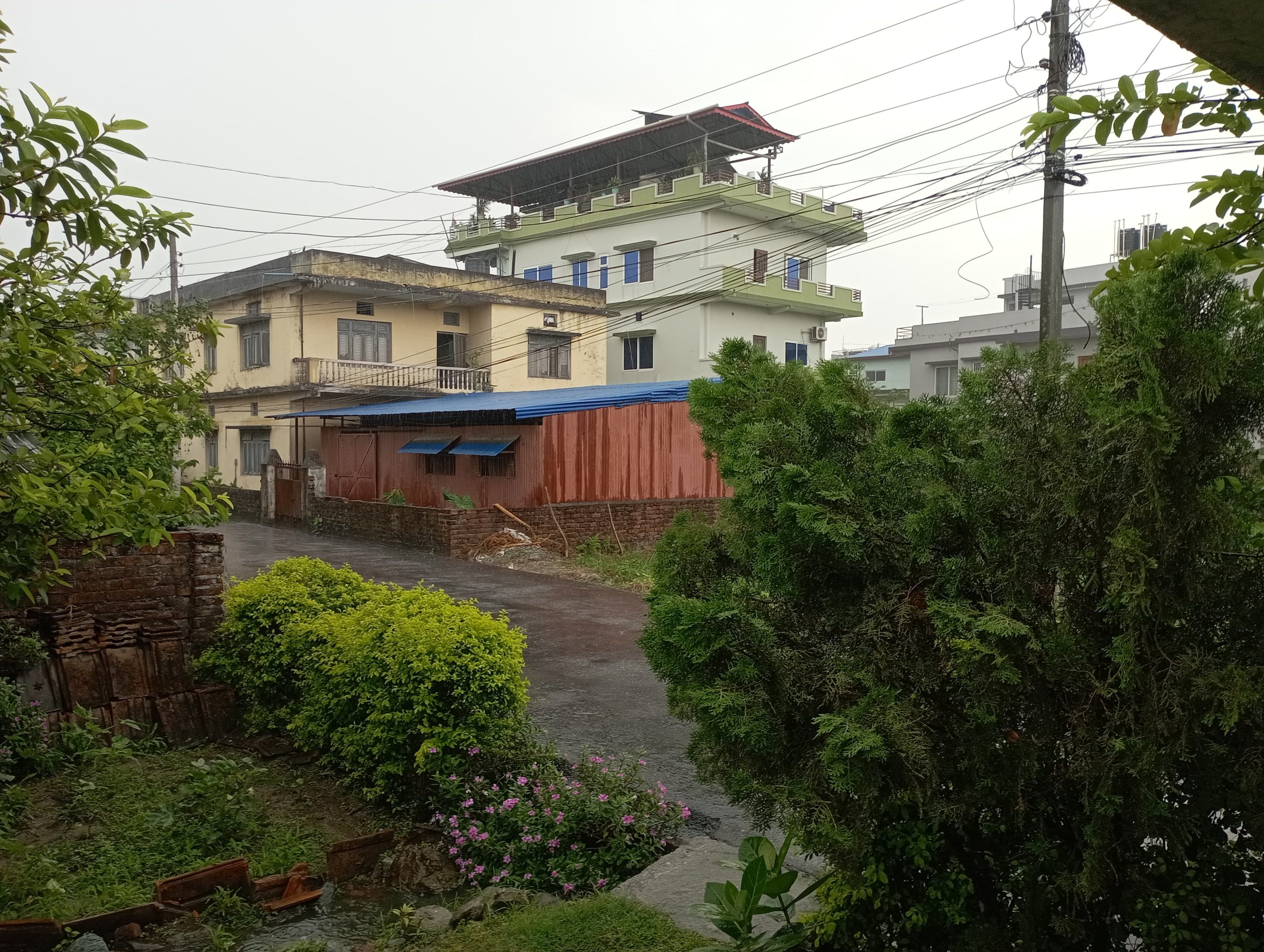 विराटनगरमा बिहानै देखि वर्षा