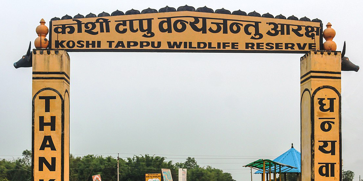कोसी टप्पुमा पर्यटकको सङ्ख्या वृद्धि