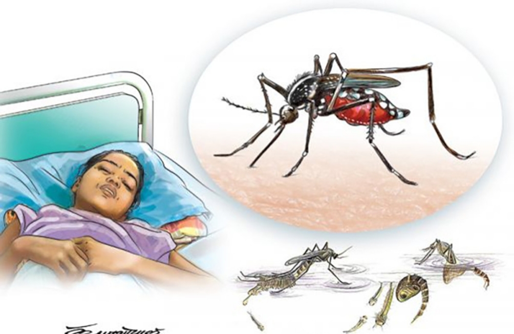 देशभर फैलियो डेंगु संक्रमण, कोसी प्रदेशमा सबैभन्दा धेरै संक्रमित