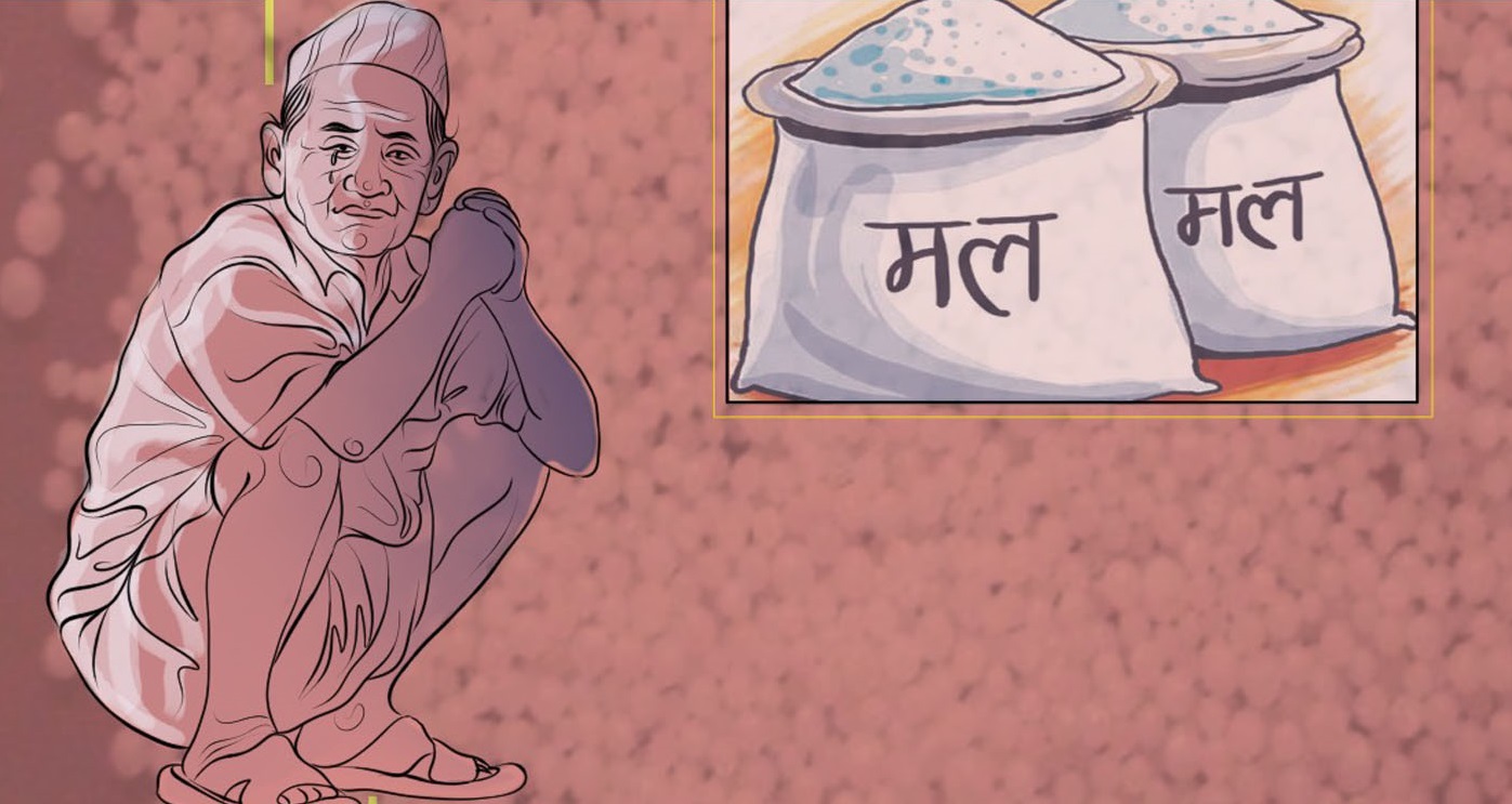 रोपाइँका बेला मल नपाएपछि हसन्दहका किसान आक्रोसित