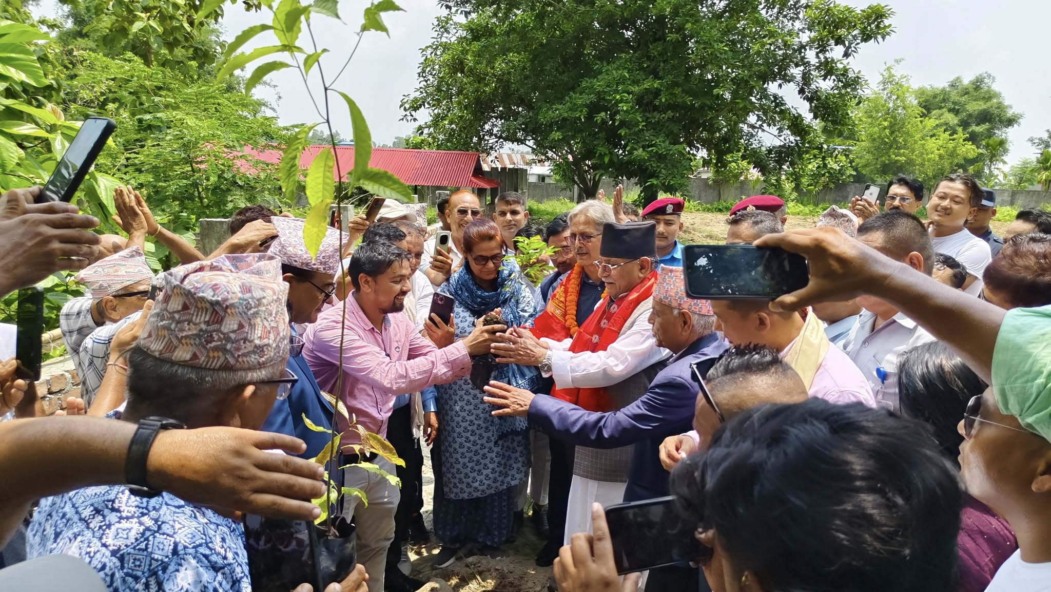 दमकमा एक लाख बिरुवा रोप्ने अभियानमा प्रचण्डको साथ