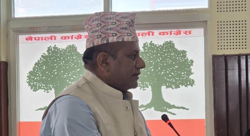 भीम पराजुलीले कांग्रेस केन्द्रीय समितिमा के राखे प्रस्ताव ?