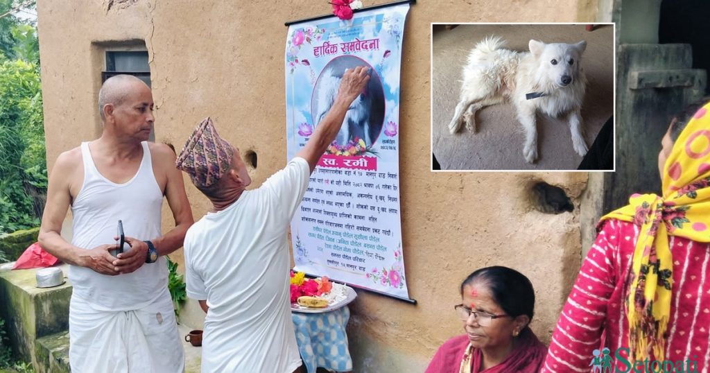 दाङमा घर पालुवा कुकुरको मृत्युपछि ९ दिनसम्म काजकिरिया
