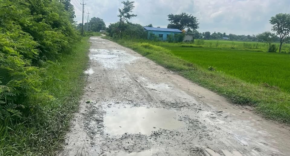 दयनीय मदनग्राम सडक : सरकारको नजर कहिले पुग्ला ?