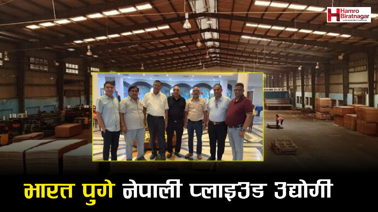 रुष्ट समकक्षी फकाउन भारत पुगे नेपाली प्लाइउड उद्योगी  !