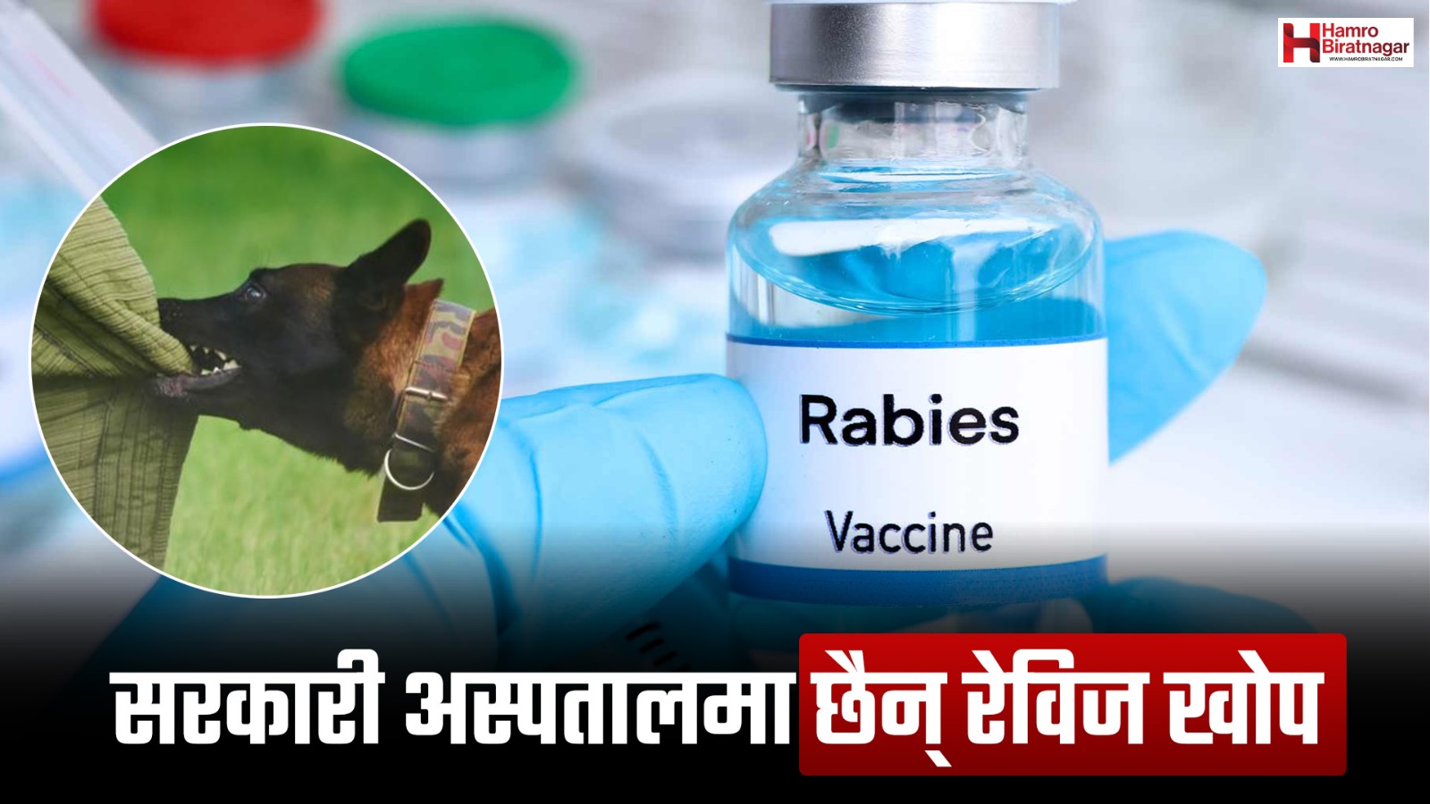 कोसी अस्पतालमा खोप रित्तियो, केन्द्रले नपठाउँदा कुकुरले टोकेका बिरामी कहाँ जाने?
