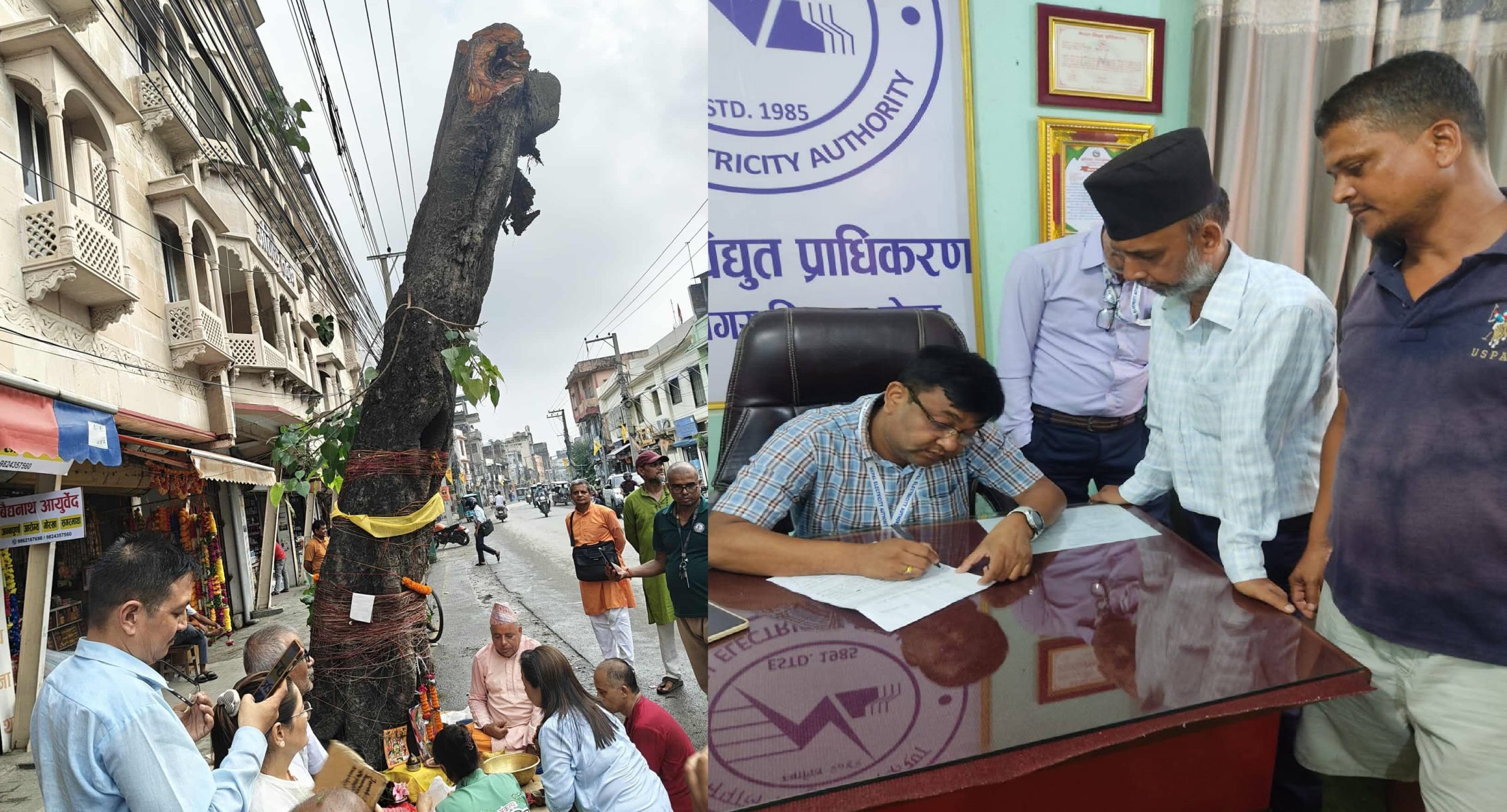 रुख काटिएको जिम्मेवारी प्राधिकरणले लियो