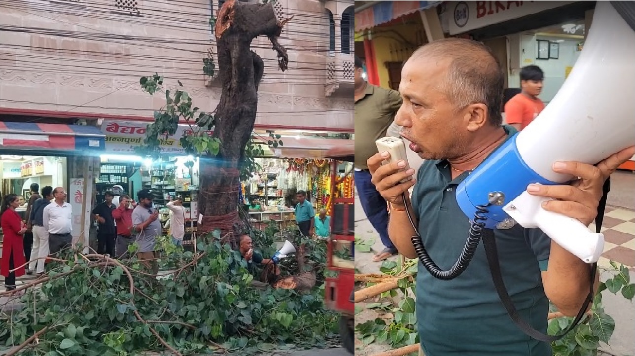 विराटनगरको ऐतिहासिक पिपलको रुख काटियो, अभियानकर्मी पारुल क्षेत्रीको आक्रोश