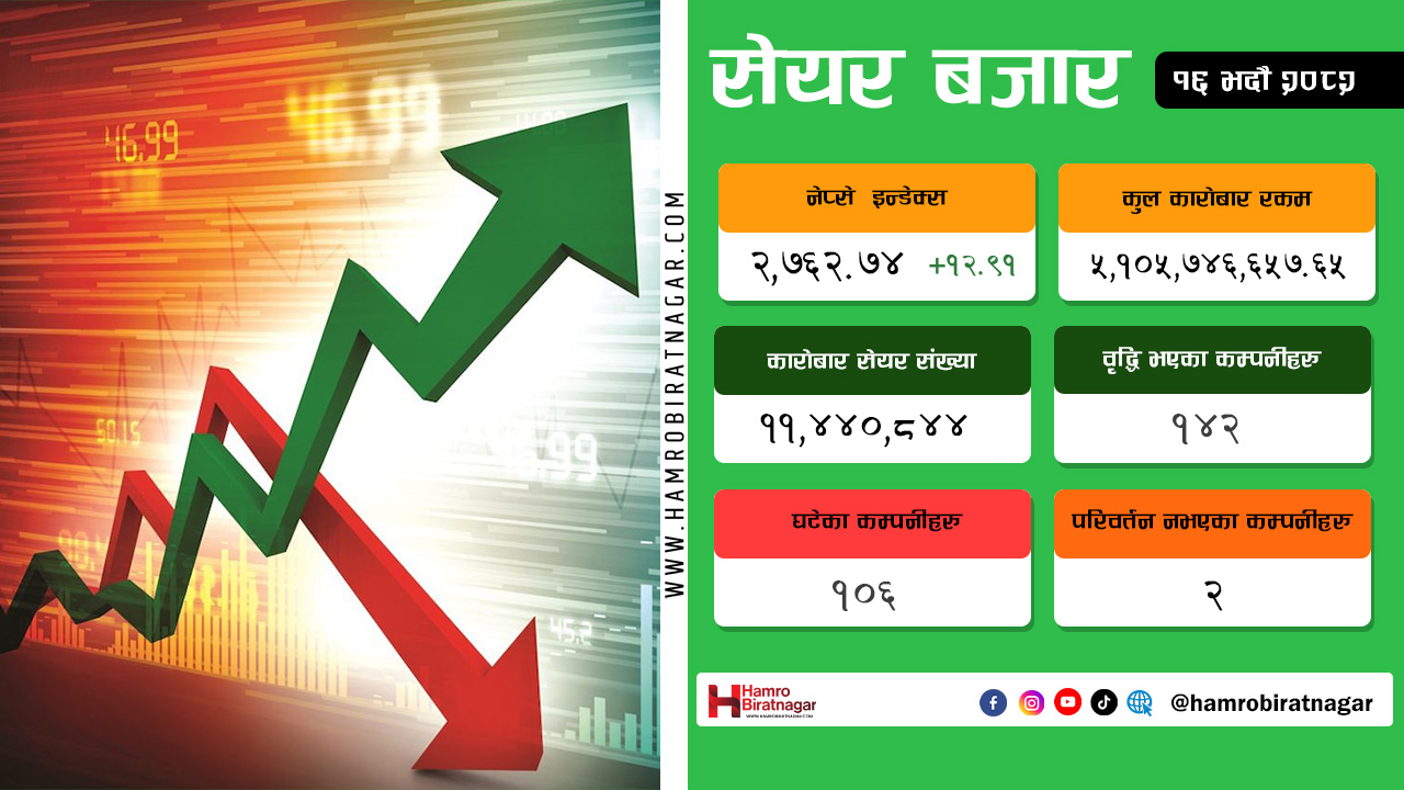 नेप्सेमा दोहोरो अंकको सुधार