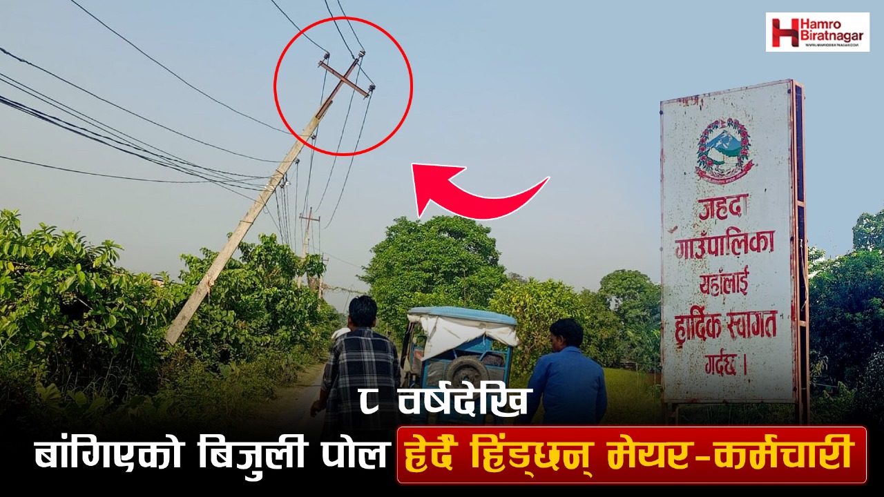 ढल्केको बिजुली पोलले बटुवाको सुरक्षा जोखिममा, गाउँपालिकालाई वास्ता छैन