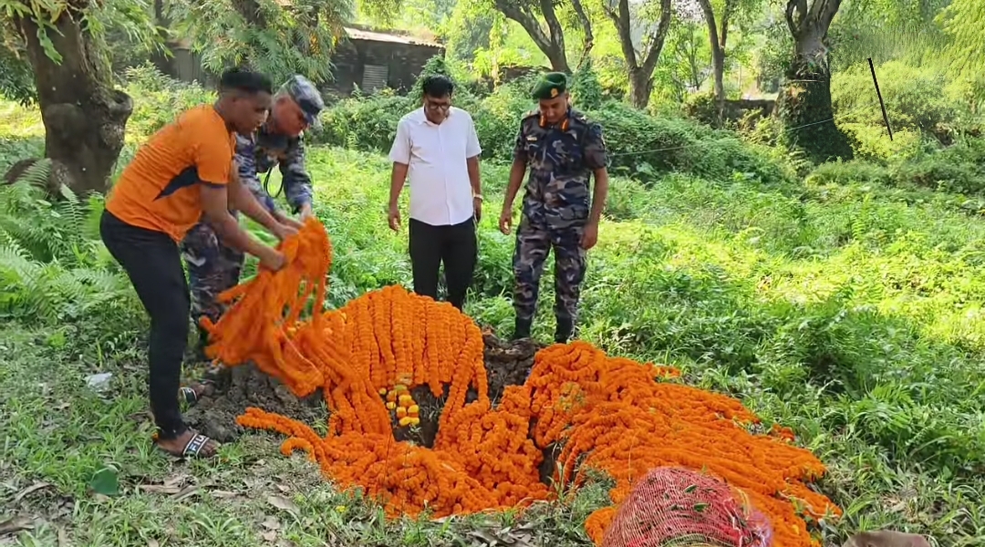 भारतबाट विराटनगर ल्याउँदै गरेको सयपत्री फूल खाल्डो खनेर पुरियो