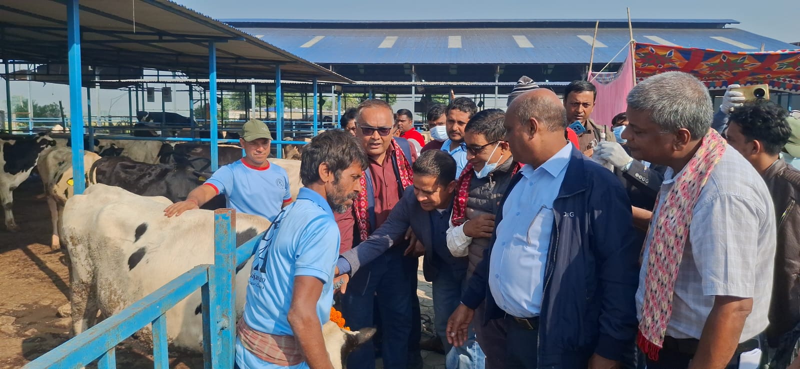 कोशी प्रदेशका चौपायालाई खोरेत खोप हान्न शुरु, विराटनगरबाट थालियो अभियान