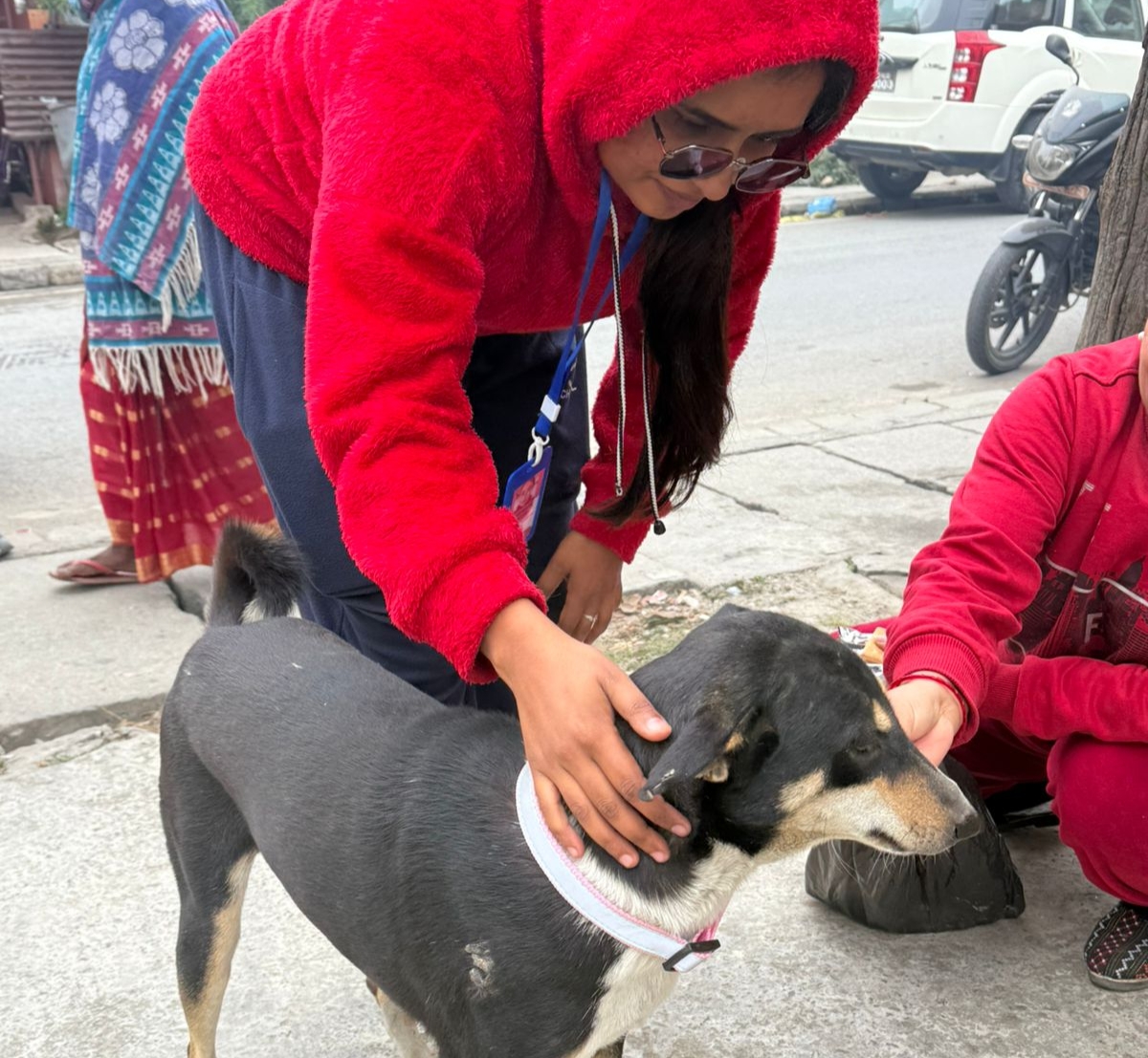 सडकमा रहेका कुकुरका लागि ‘रिफ्लेक्टिभ ब्यान्ड’ वितरण