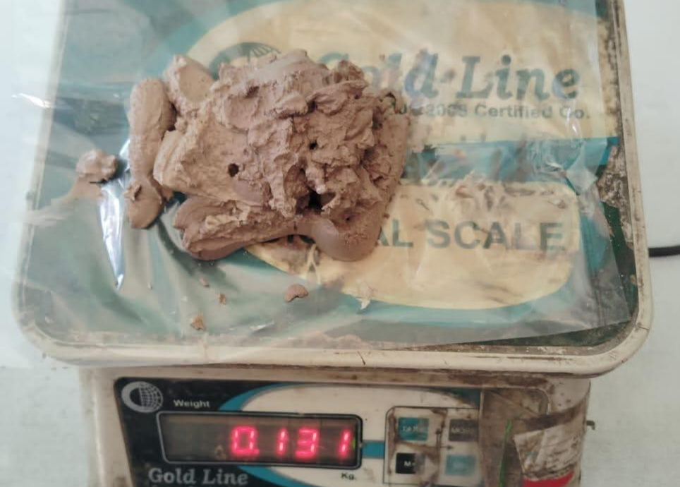 प्रतिबन्धित ब्राउन सुगरसहित ४ जना पक्राउ