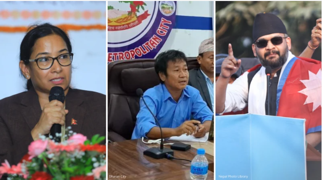 मेयर र प्रदेश सांंसद चुनाव लड्न हिँडे, स्थानीय तह र प्रदेश सभाले कसरी गर्दैछन् काम ?