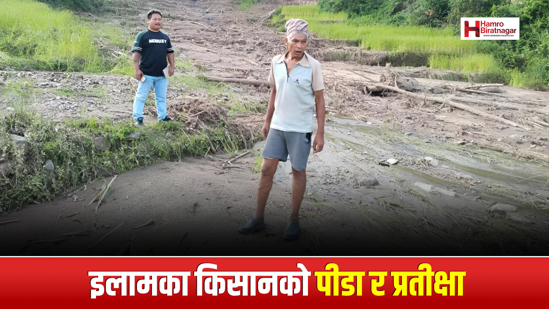 बाढीपछि इलामका किसान अन्योलमा, २७ करोडभन्दा बढीको कृषि क्षति