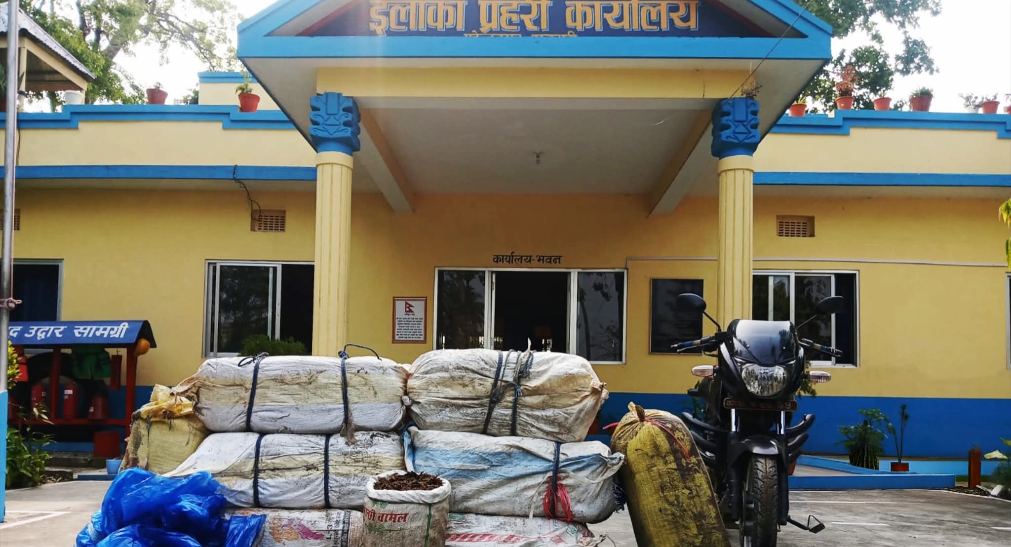 सुनसरीमा २२५ किलोग्राम गाँजासहित दुई जना पक्राउ