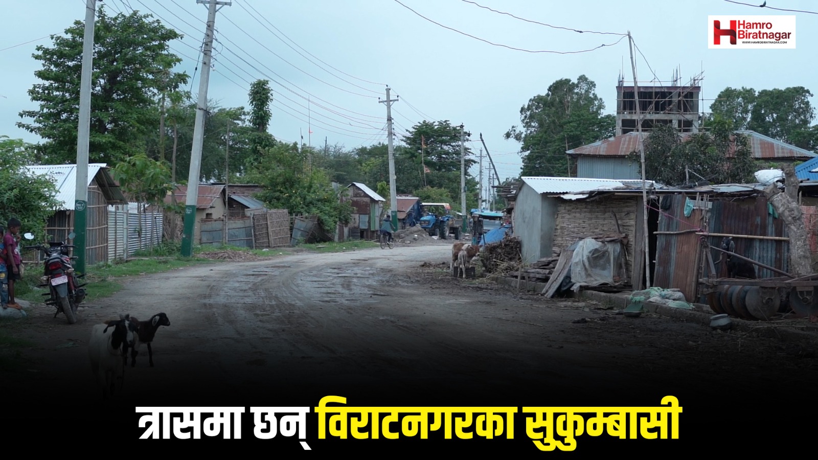 काठमाडौंमा हटाएपछि डराए विराटनगरका सुकुम्बासी, अब के गर्ला सरकारले ?