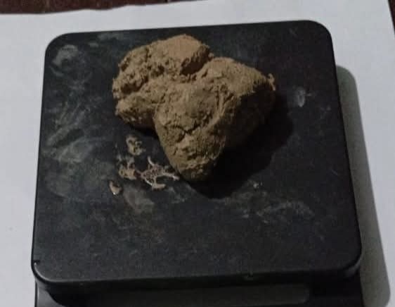 लागूऔषधसहित झापा, मोरङ र सुनसरीबाट ७ जना पक्राउ