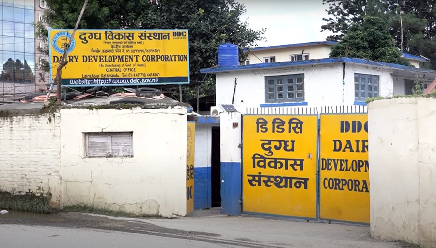 Hamro Biratnagar News Channel ,डीडीसीले किसानलाई ३५ करोड रुपैयाँ भुक्तानी दिन बाँकी, Biratnagar Top News Channel