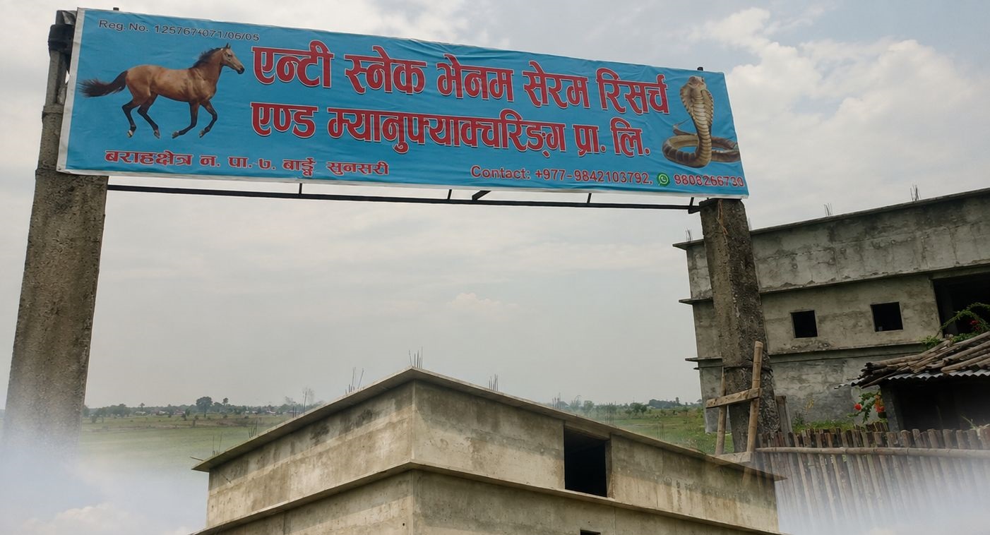 तराईमा सर्पदंशको औषधि मौज्दात सकिदै, उत्पादन गर्ने उद्योग भने १३ वर्षदेखि अलपत्र
