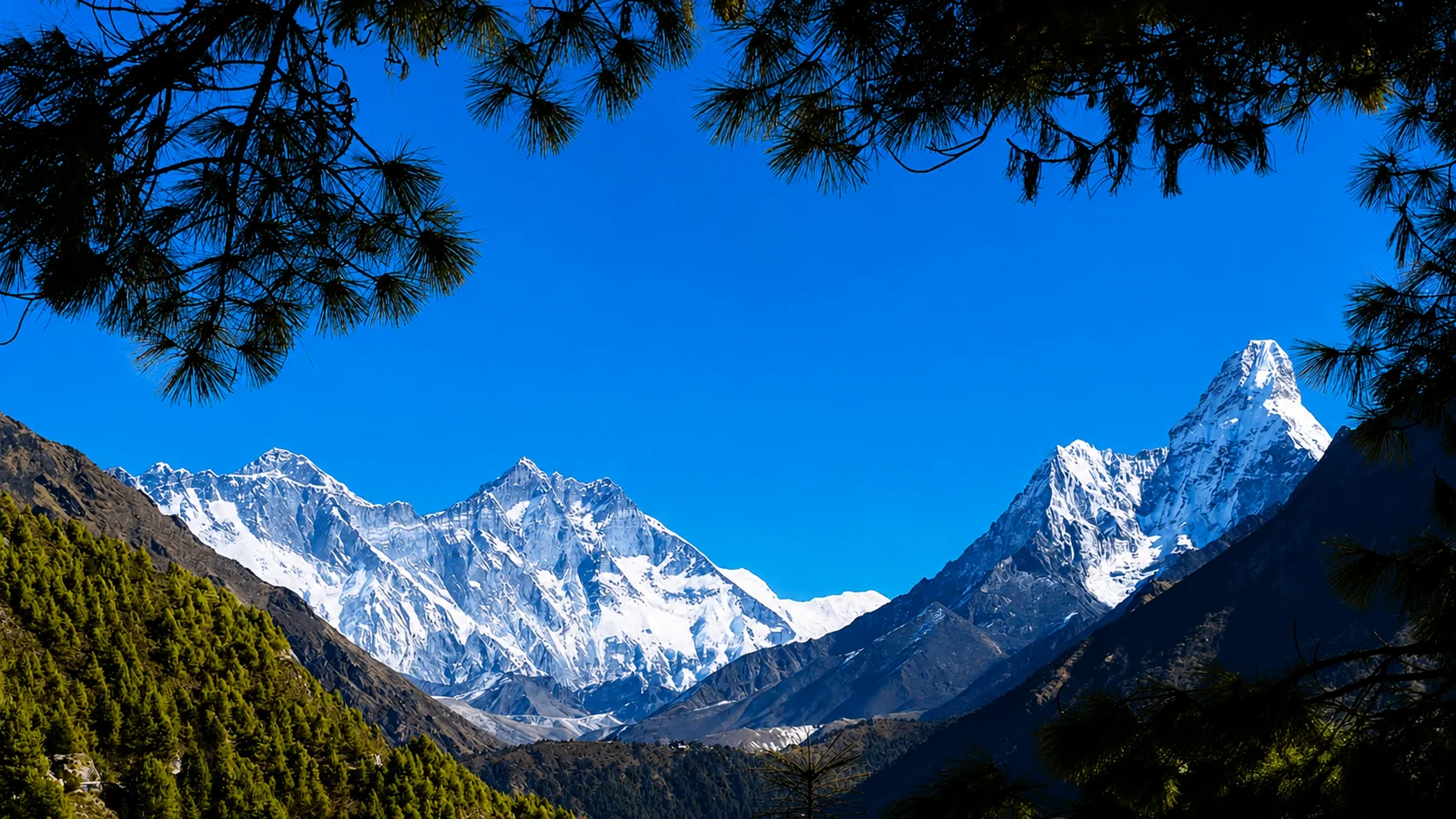 भरेस्ट भ्यु ट्रेल रेसलाई अन्तरराष्ट्रिय मान्यता