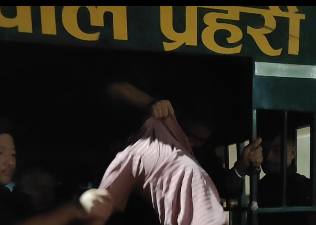 राधाकृष्ण रथयात्रामा क्रममा ११३ जना पक्राउ